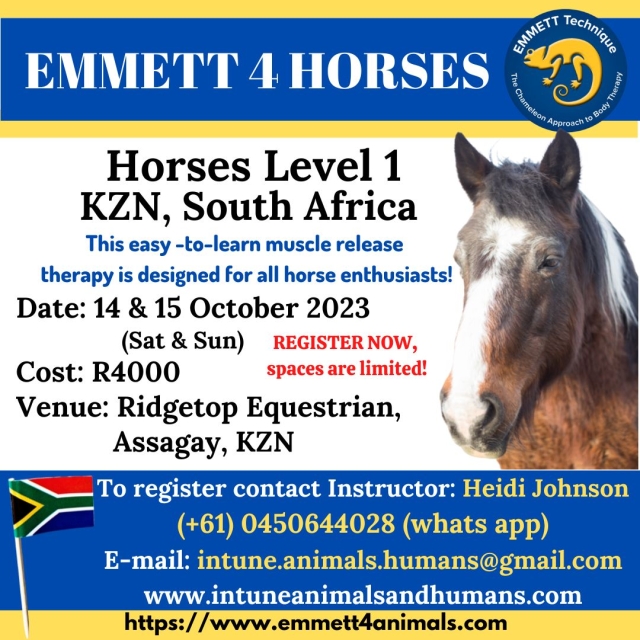 Horse Level 1 - Assagay, KZN, South Africa - 14 & 15 Ocotber 2023