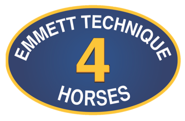 EMMETT 4 Horses Workshop - Luscombe - QLD - 13 January 2024