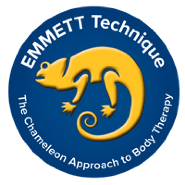 EMM-Tech Short Course - Singapore - 11 Dec 2022