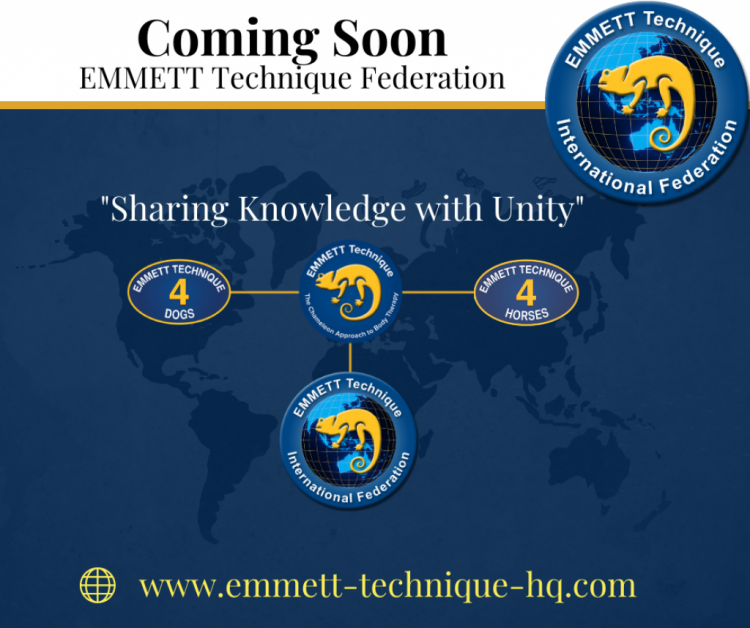 EMMETT Technique Federation. Exciting News! Coming Soon! 